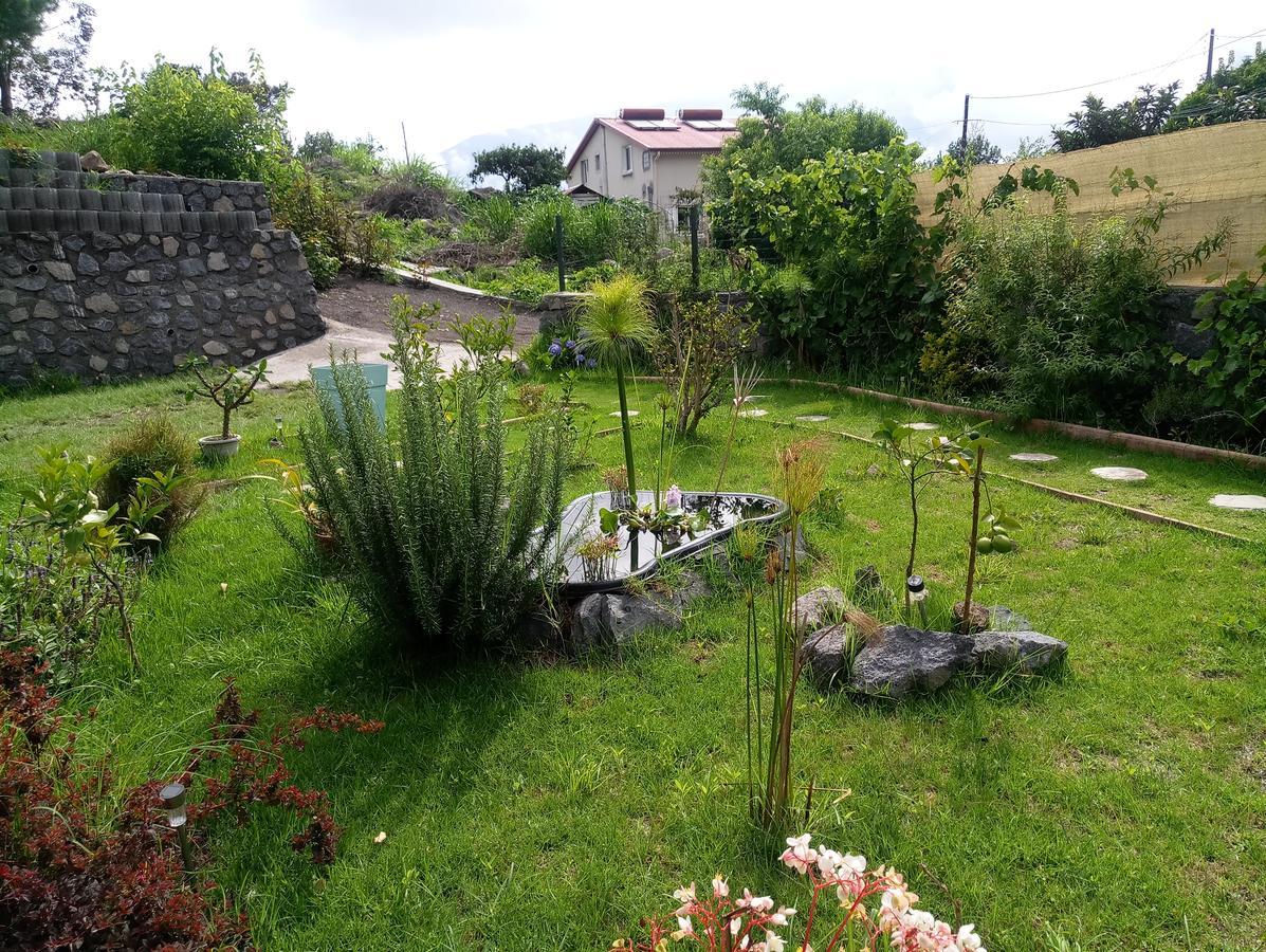 Appartamento Les Jardins Créoles Cilaos Esterno foto